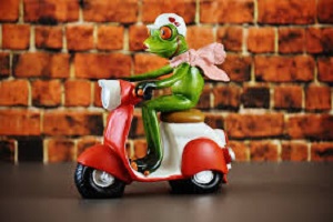 scooter grenouille